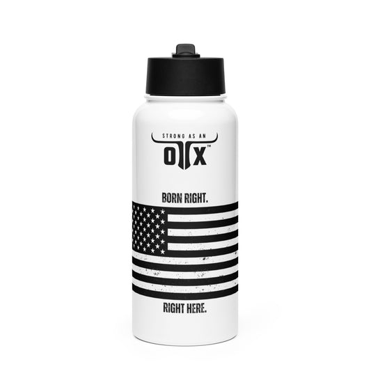 32 oz Insulated Stainless Steel Water Bottle